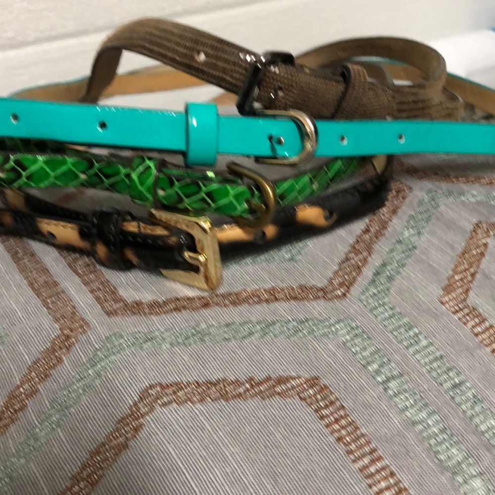 Ann Taylor Belts
